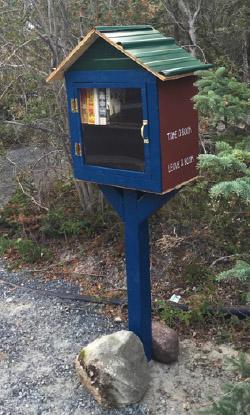 10 steps to your own little free library