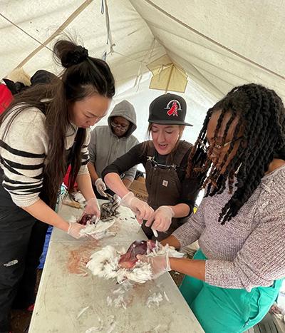 Cultural Exchange on the Land